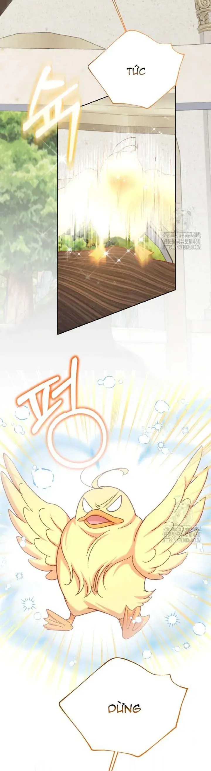 Nàng Vịt Chờ Ngày Hủy Hôn Chapter 23 - Trang 2