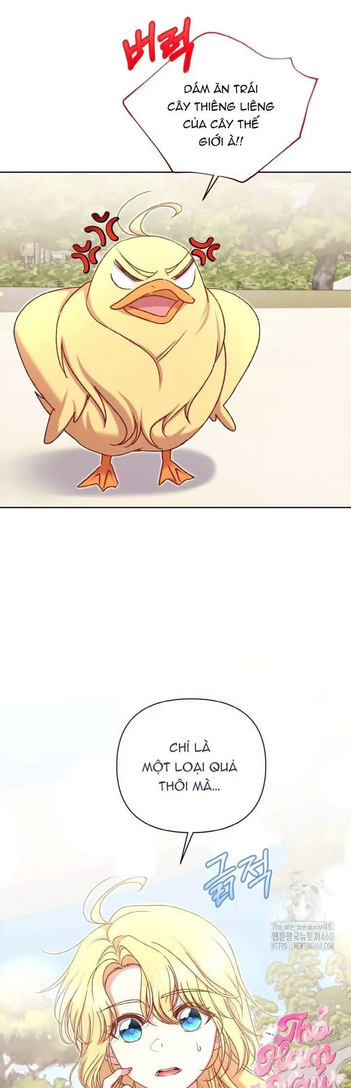 Nàng Vịt Chờ Ngày Hủy Hôn Chapter 23 - Trang 2