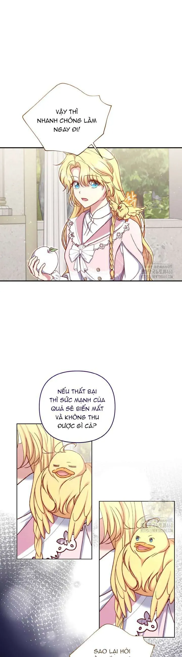 Nàng Vịt Chờ Ngày Hủy Hôn Chapter 23 - Trang 2