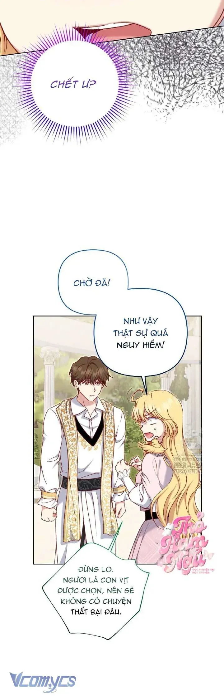 Nàng Vịt Chờ Ngày Hủy Hôn Chapter 24 - Trang 2