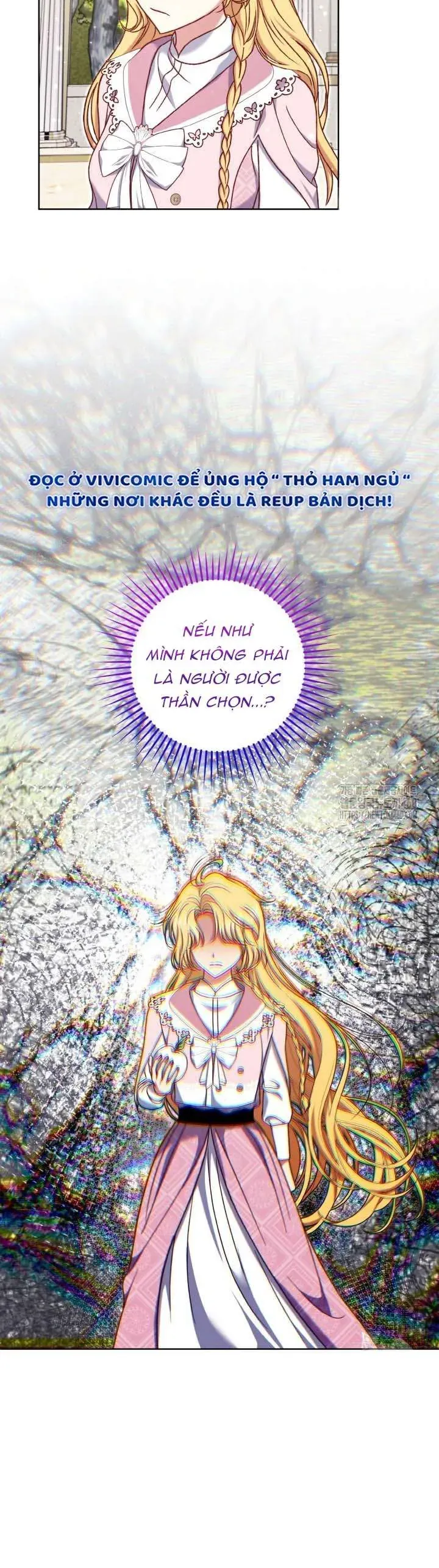 Nàng Vịt Chờ Ngày Hủy Hôn Chapter 24 - Trang 2