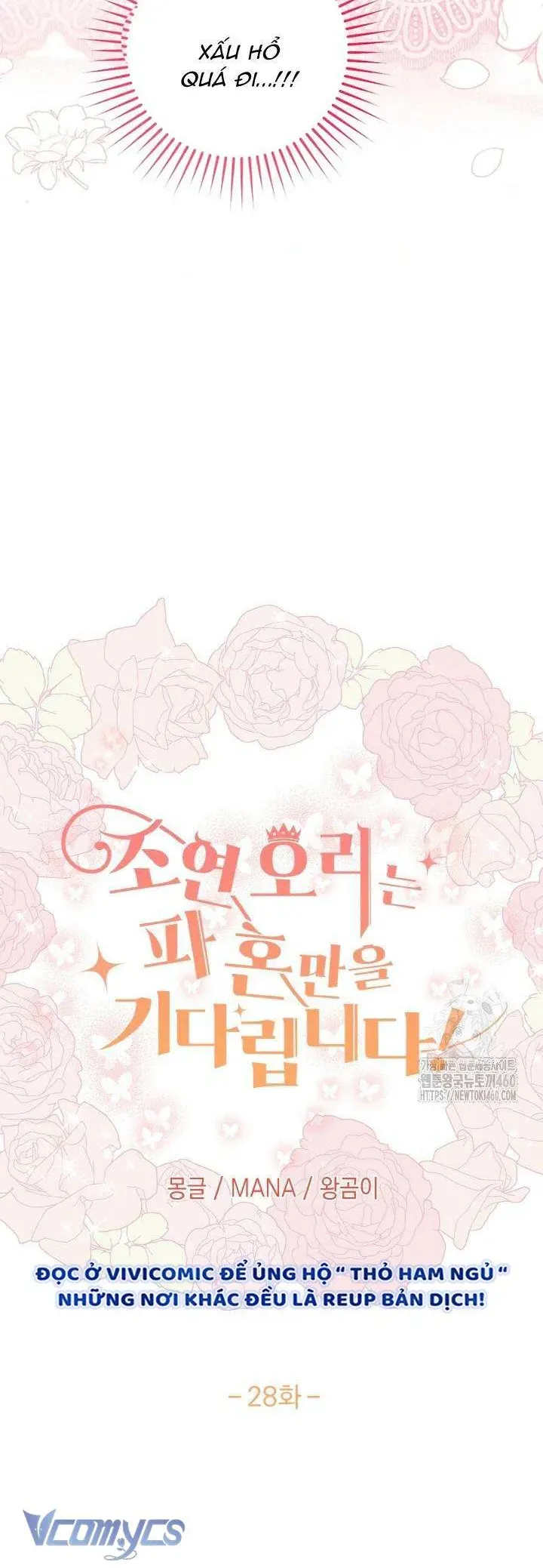 Nàng Vịt Chờ Ngày Hủy Hôn Chapter 28 - Trang 2