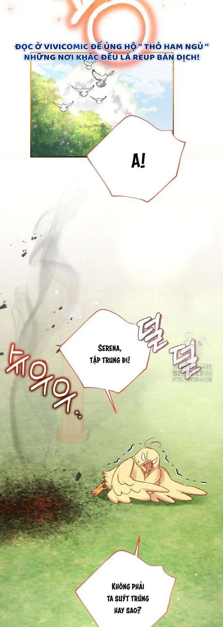 Nàng Vịt Chờ Ngày Hủy Hôn Chapter 28 - Trang 2