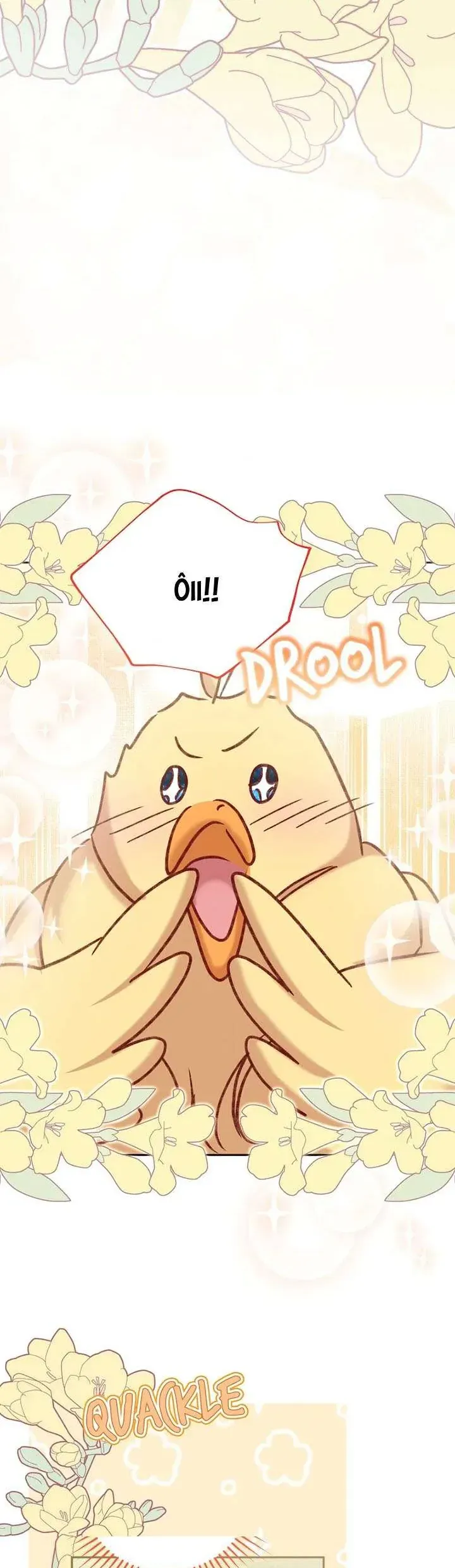 Nàng Vịt Chờ Ngày Hủy Hôn Chapter 28 - Trang 2