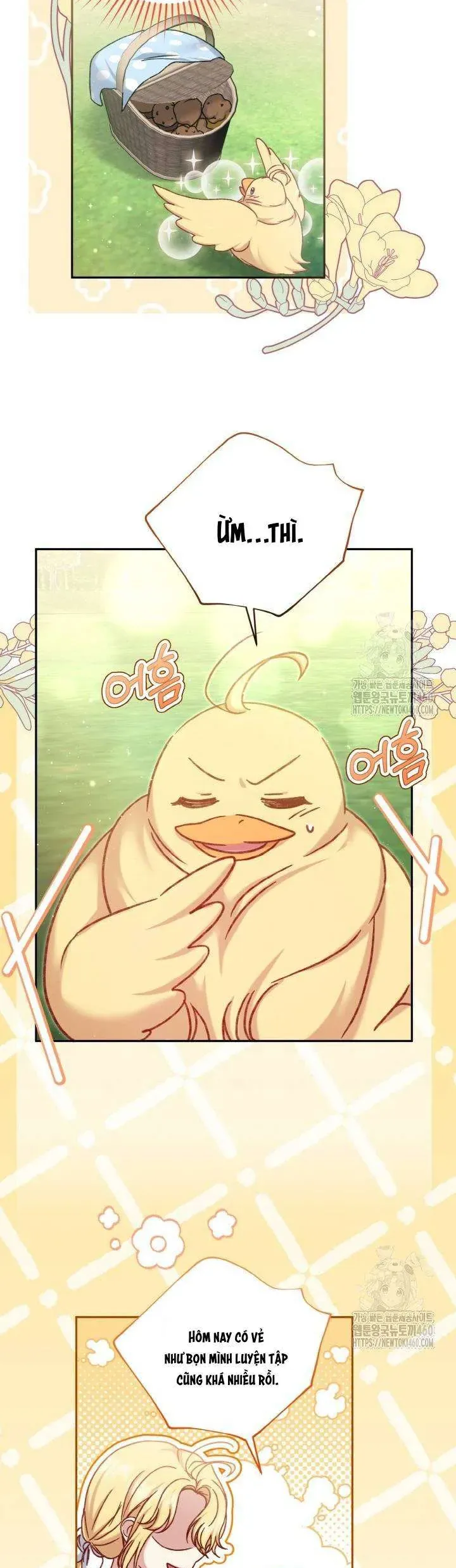 Nàng Vịt Chờ Ngày Hủy Hôn Chapter 28 - Trang 2