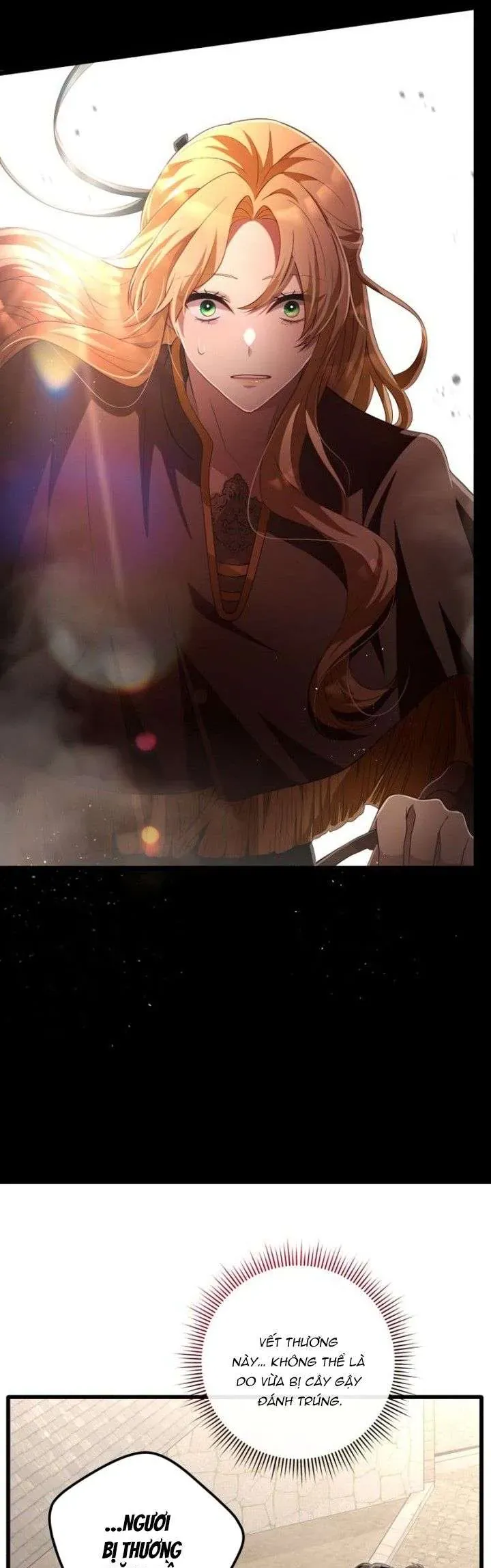 Lời Cầu Hôn Hoang Dã Chapter 27 - Trang 2