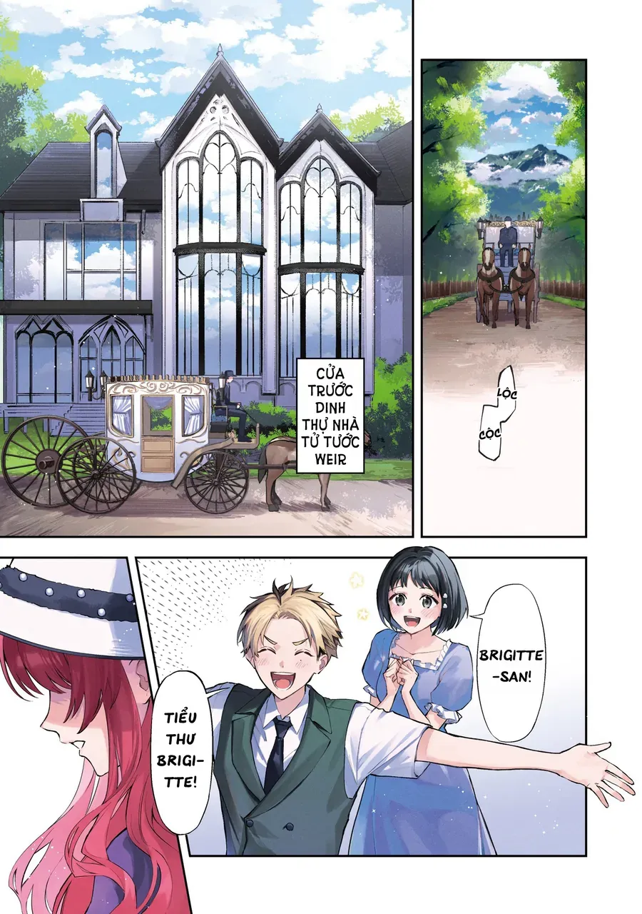 Nàng Phản Diện Phải Lòng Chàng Ác Nhân Chapter 21 - Trang 2