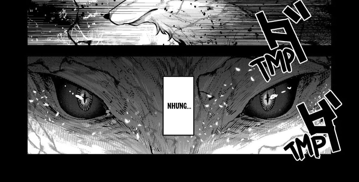 Cuộc Phiêu Lưu Của Kẻ Bất Tử Không Mong Muốn Chapter 47 - Trang 2