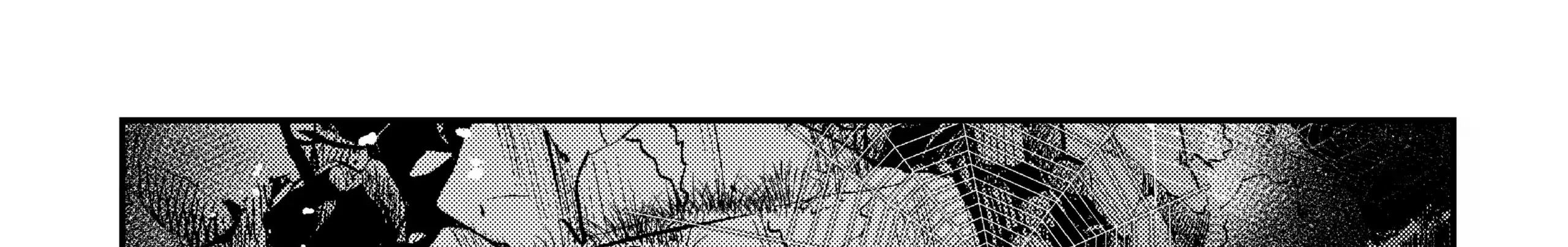 Cuộc Phiêu Lưu Của Kẻ Bất Tử Không Mong Muốn Chapter 49 - Trang 2