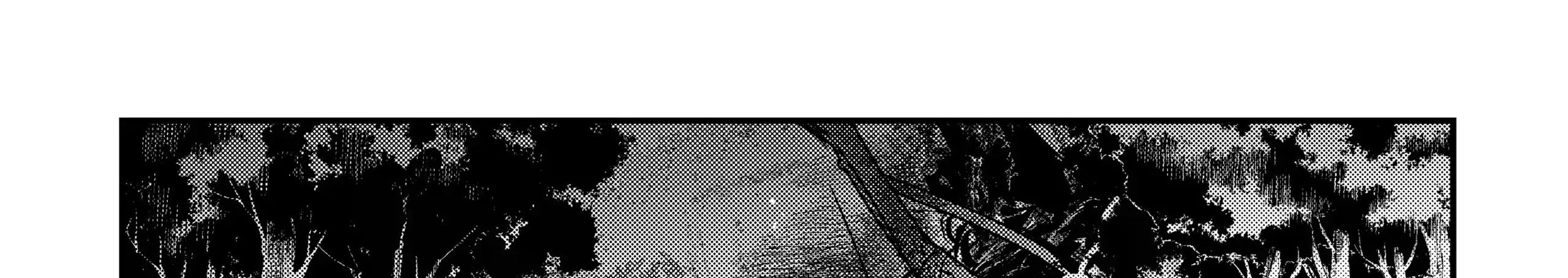 Cuộc Phiêu Lưu Của Kẻ Bất Tử Không Mong Muốn Chapter 50 - Trang 2