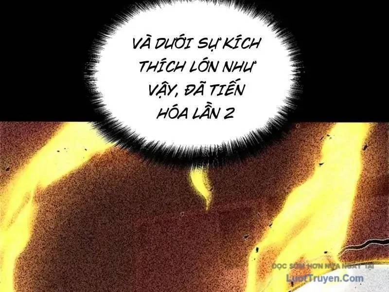 Toàn Năng Giác Tỉnh Sư Chapter 42 - Trang 2