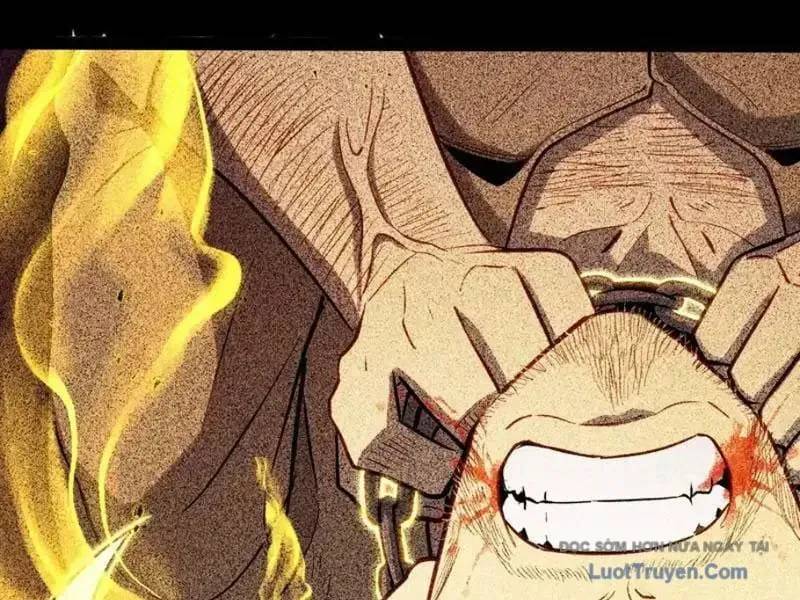 Toàn Năng Giác Tỉnh Sư Chapter 42 - Trang 2