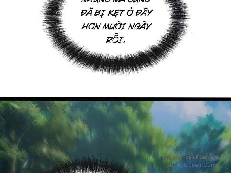 Toàn Năng Giác Tỉnh Sư Chapter 50 - Trang 2