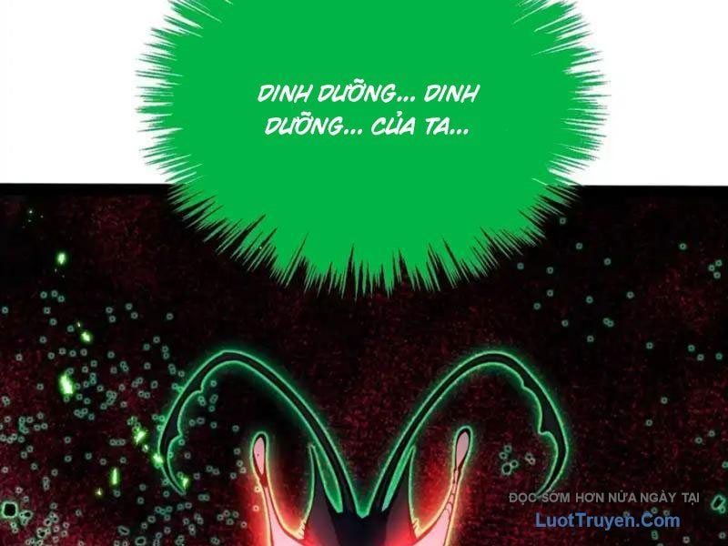 Thức Tỉnh Toàn Chức Chapter 51 - Trang 2