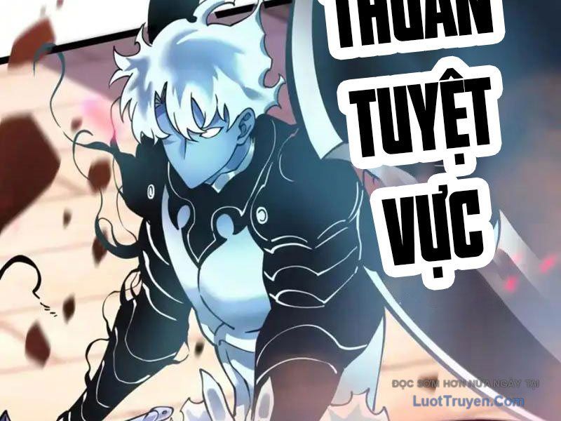 Sau Khi Sống Lại, Ta Dùng Kính Phản Diện Phục Thù Chapter 27 - Trang 2