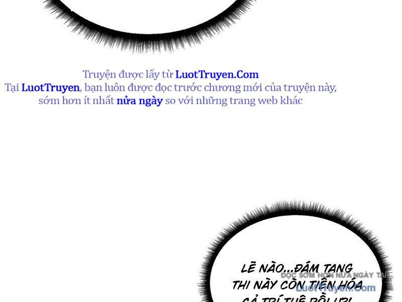 Mình Ta Tung Hoành Loạn Thế Chapter 12 - Trang 2