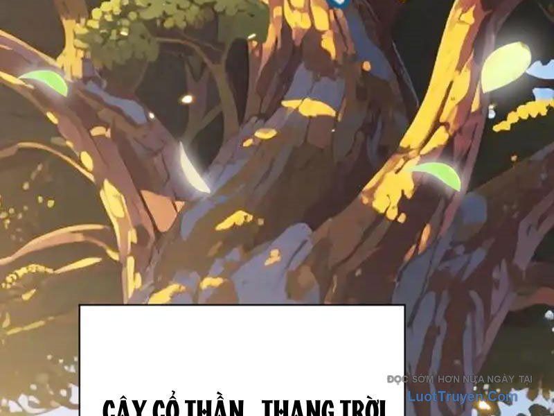 Đồ Đệ Nữ Đế Của Ta Muốn Hắc Hóa! Chapter 78 - Trang 2