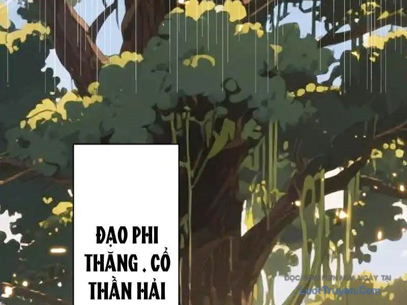 Đồ Đệ Nữ Đế Của Ta Muốn Hắc Hóa! Chapter 78 - Trang 2