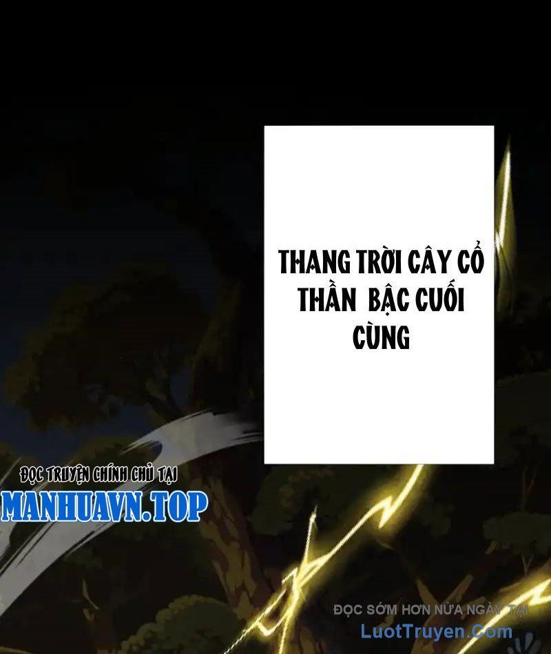 Đồ Đệ Nữ Đế Của Ta Muốn Hắc Hóa! Chapter 79 - Trang 2