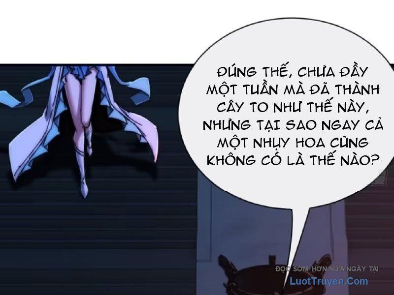 Ta Dựa Vào Tu Tiên Xưng Bá Mạt Thế Chapter 33 - Trang 2
