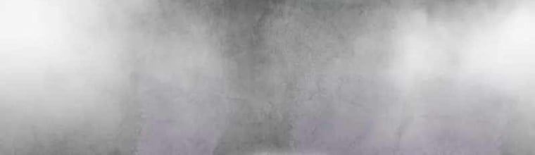 Sinh Tồn Như Một Bộ Khoái Ở Thế Giới Võ Lâm Chapter 20 - Trang 2