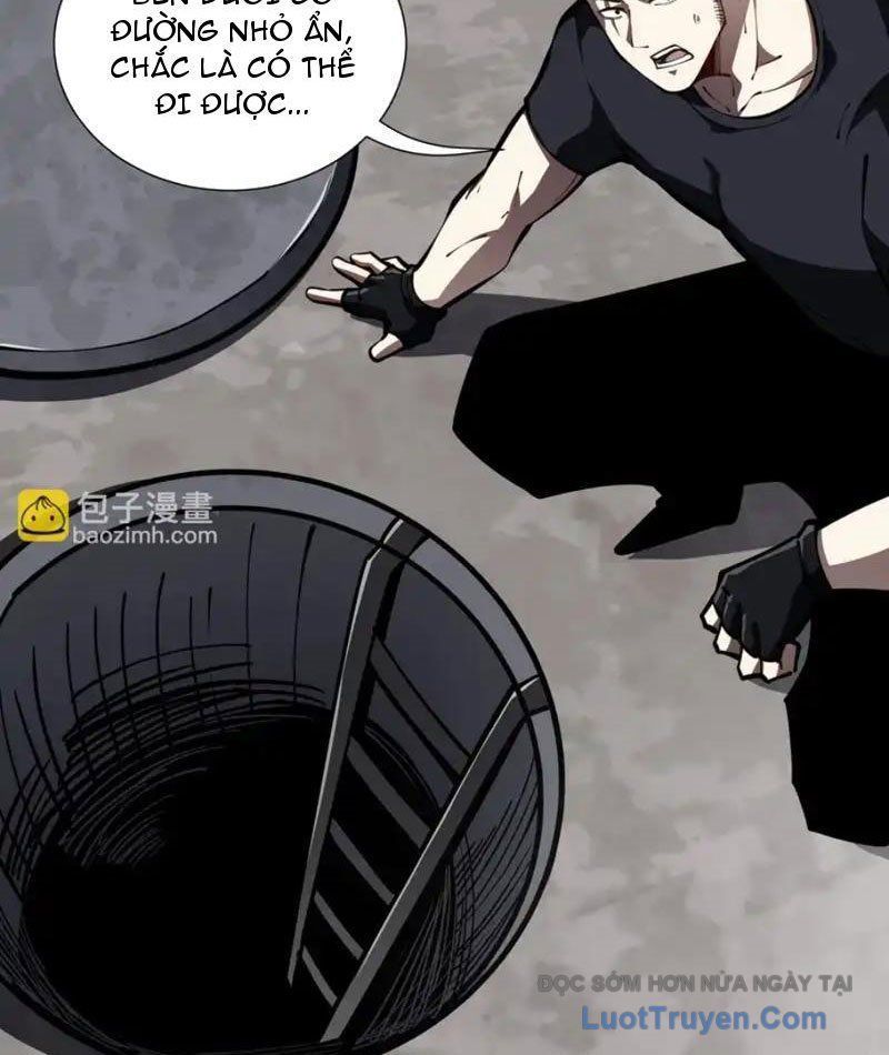 Tai Ách Giáng Lâm: Ta Tiến Hóa Thành Tinh Hồng Đế Vương Chapter 24 - Trang 2