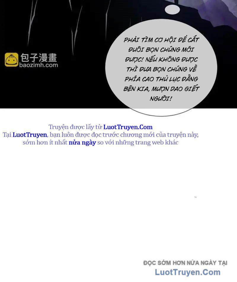 Tai Ách Giáng Lâm: Ta Tiến Hóa Thành Tinh Hồng Đế Vương Chapter 24 - Trang 2