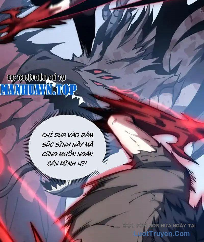 Tai Ách Giáng Lâm: Ta Tiến Hóa Thành Tinh Hồng Đế Vương Chapter 24 - Trang 2