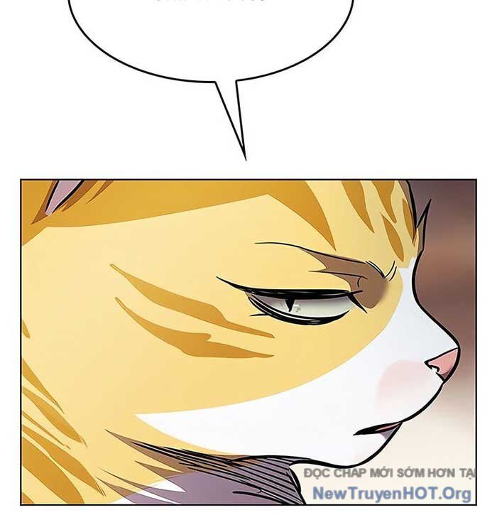 Hoá Thân Thành Mèo Chapter 375 - Trang 2