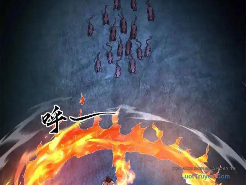 Sau Khi Sống Lại Ở Mạt Thế, Ta Điên Cuồng Thăng Cấp Chapter 72 - Trang 2