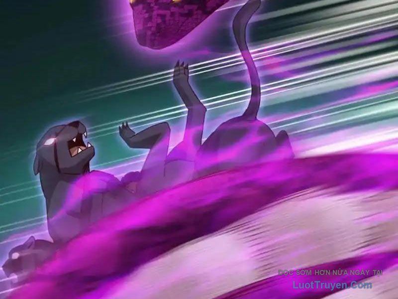 Sau Khi Sống Lại Ở Mạt Thế, Ta Điên Cuồng Thăng Cấp Chapter 72 - Trang 2