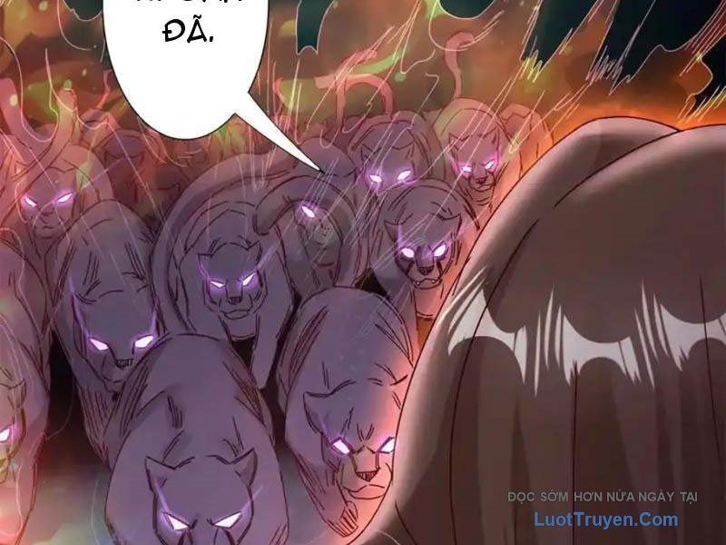 Sau Khi Sống Lại Ở Mạt Thế, Ta Điên Cuồng Thăng Cấp Chapter 72 - Trang 2