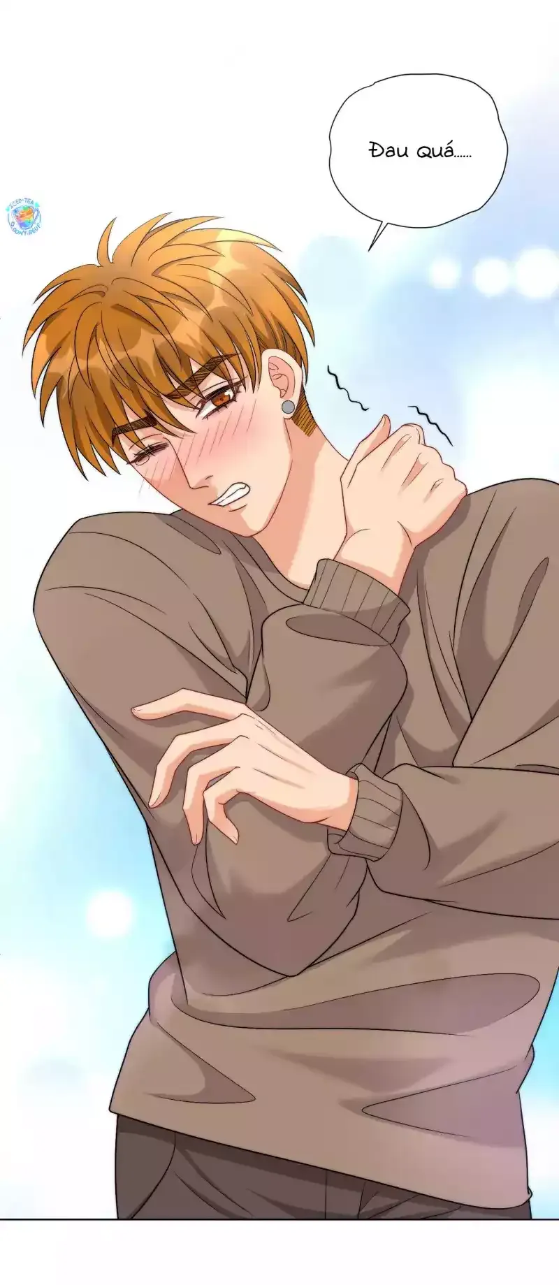 Ký Túc Xá Nam Phòng 303 Chapter 260 - Trang 2