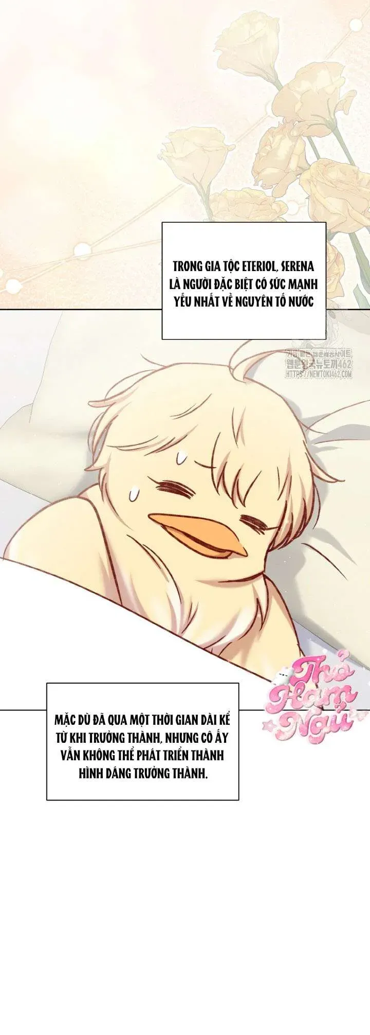 Nàng Vịt Chờ Ngày Hủy Hôn Chapter 34 - Trang 2