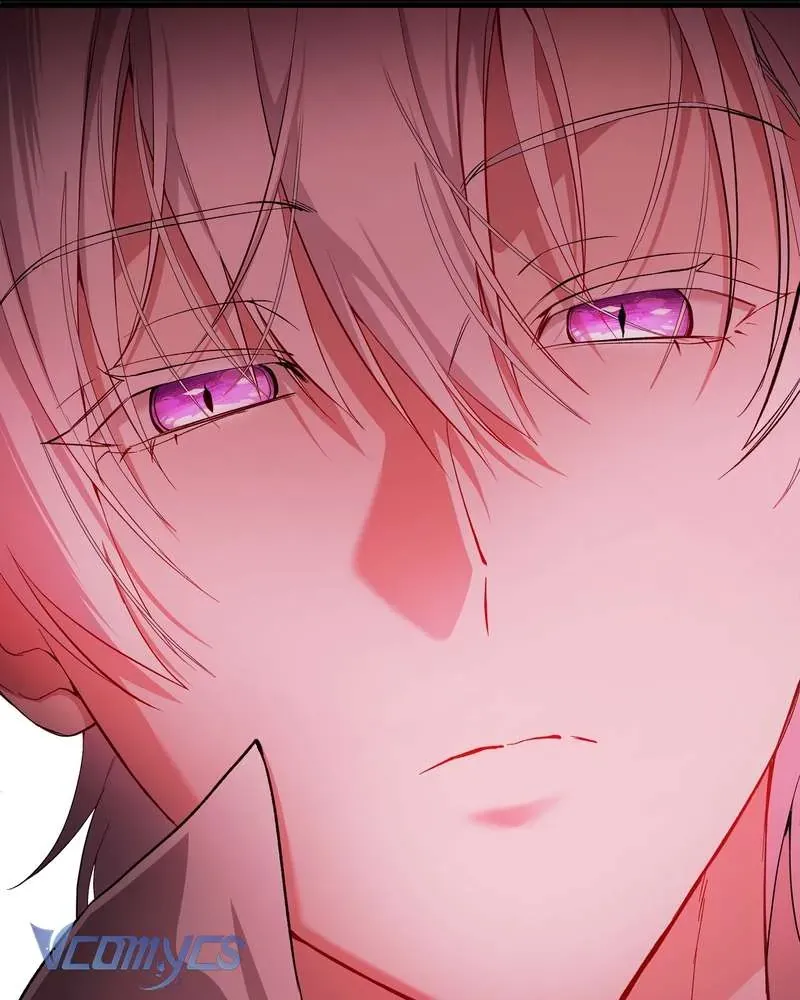 Cô Ấy Sẽ Thuần Hóa Các Anh Hùng Chapter 27 - Trang 2