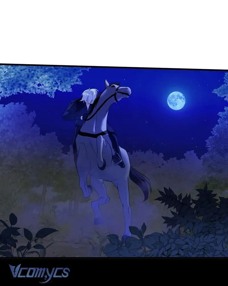 Cô Ấy Sẽ Thuần Hóa Các Anh Hùng Chapter 27 - Trang 2