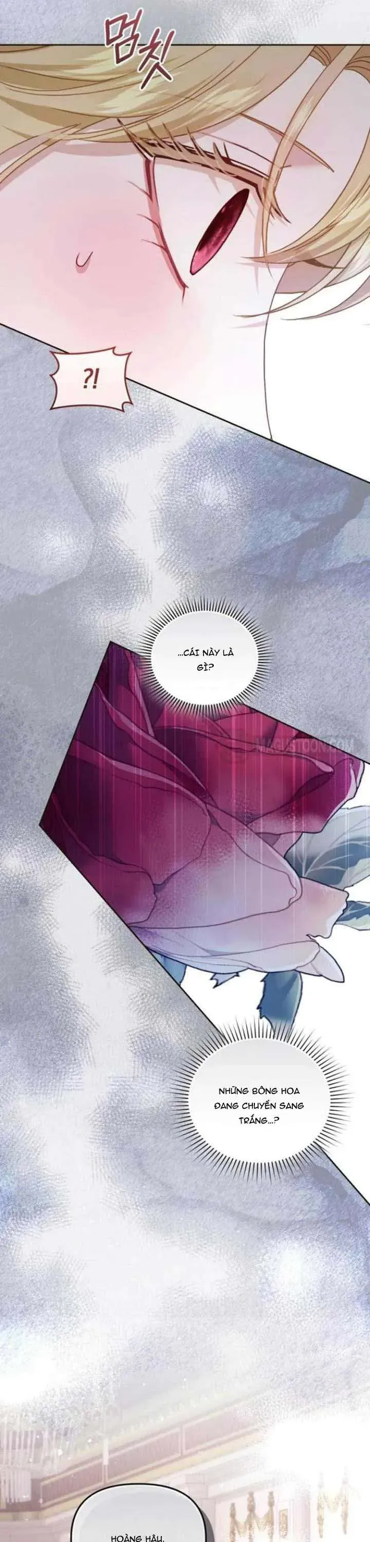 Tuy Là Hoàng Hậu Thay Thế Nhưng Tôi Lại Đánh Mất Đêm Đầu Tiên Chapter 38 - Trang 2