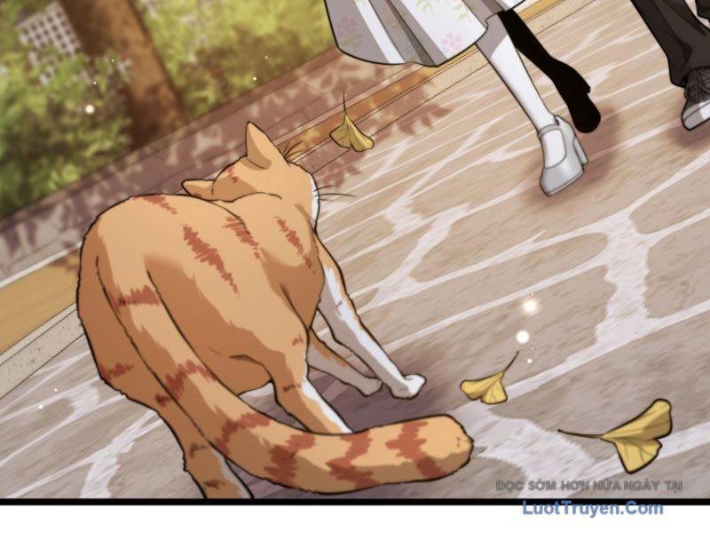 Sau Khi Tự Do Tài Chính, Họ Đã Dâng Hiến Lòng Trung Thành Chapter 54 - Trang 2