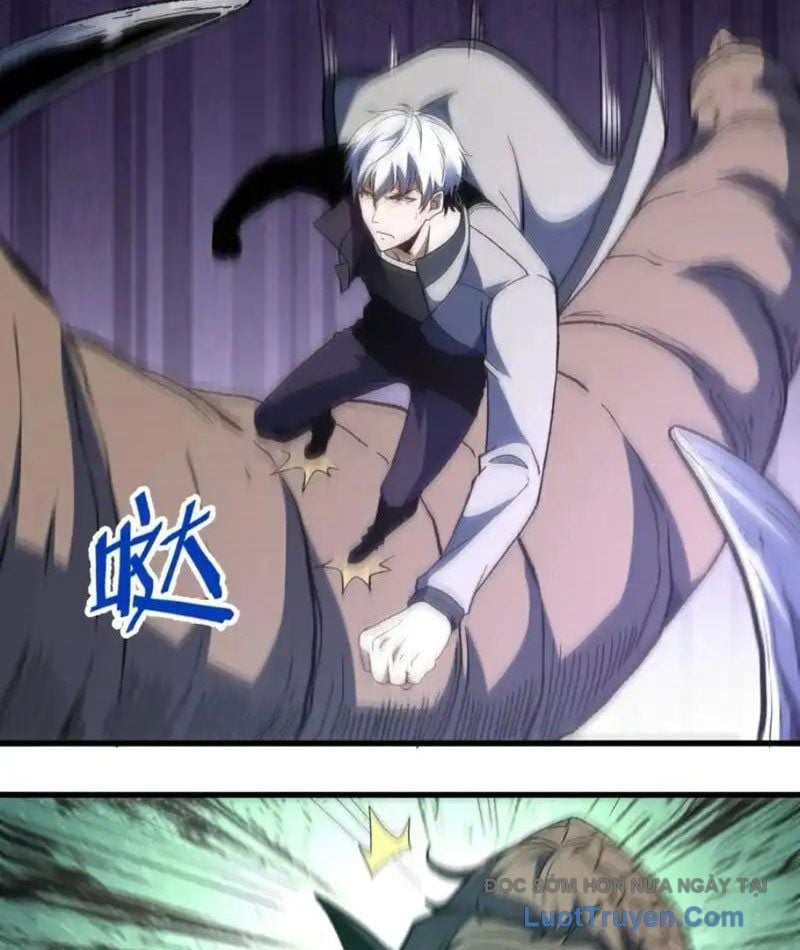 Hư Thực Chi Vương Chapter 40 - Trang 2