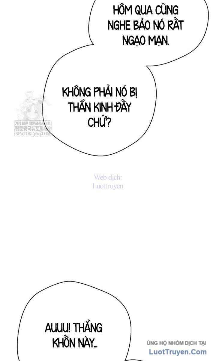 Sự Trở Lại Của Huyền Thoại Chapter 192 - Trang 2