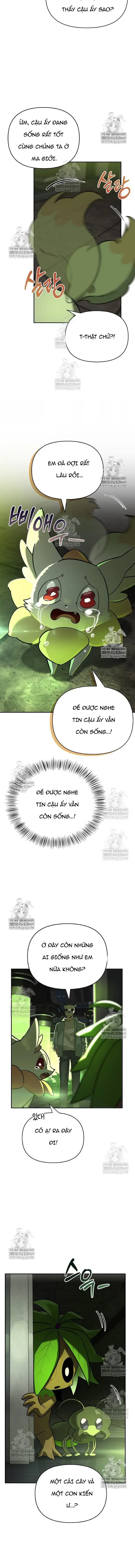 Nhật Ký Của Thợ Săn Hạng S Chapter 21 - Trang 2