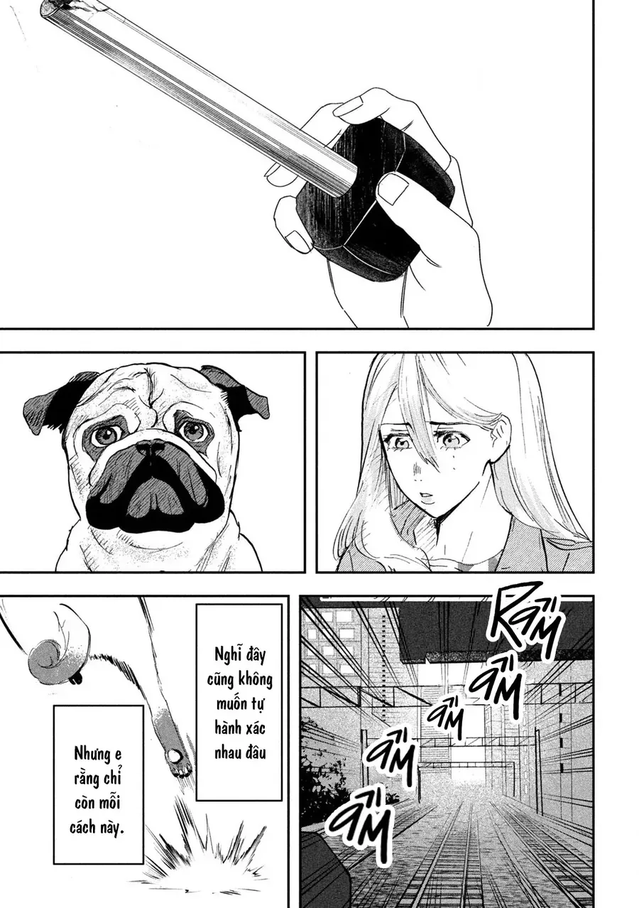 Innu – Chú Chó Bá Đạo Chapter 13 - Trang 2