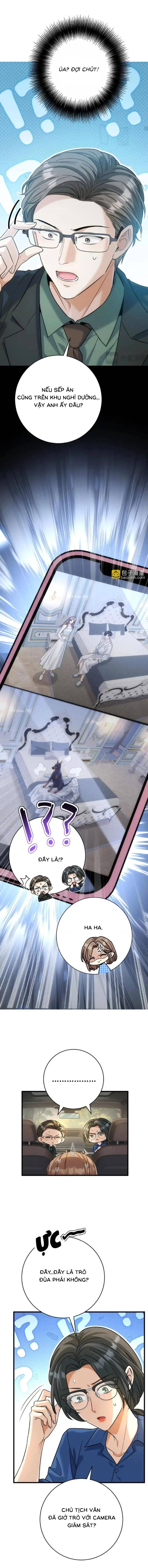 Tổng Tài Chó Chapter 50 - Trang 2
