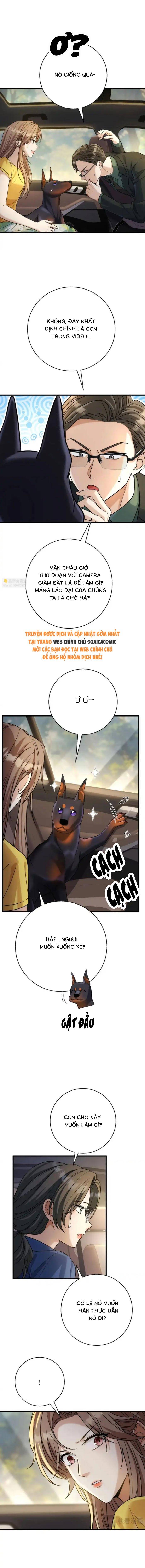 Tổng Tài Chó Chapter 50 - Trang 2