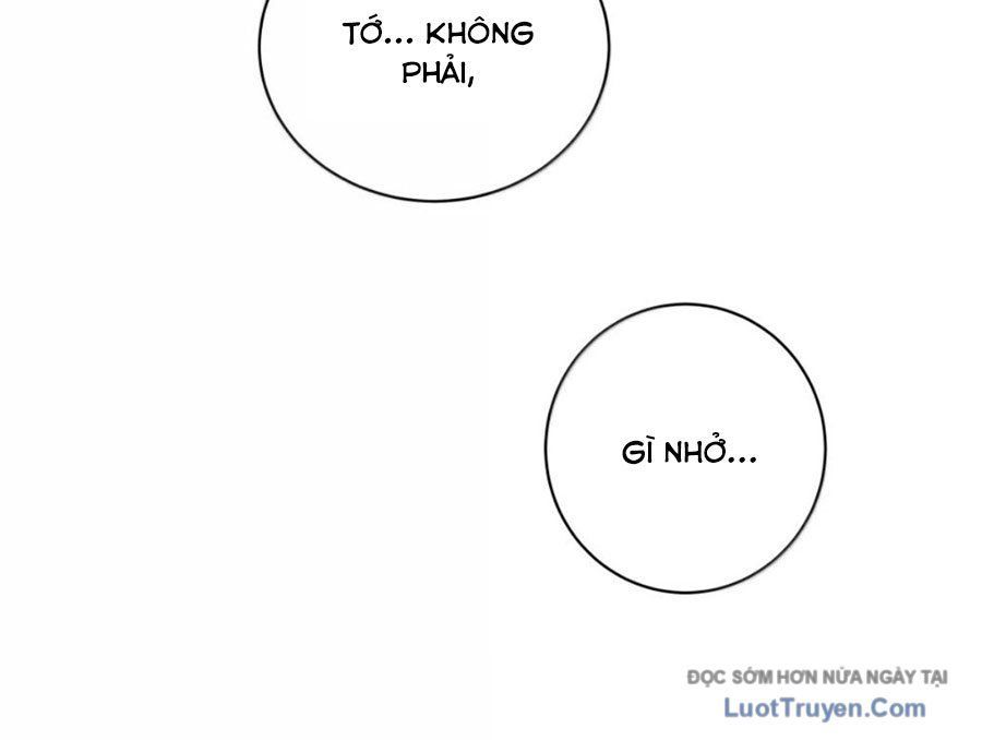 Làm Sao Để Chạy Trốn Dàn Hậu Cung Chapter 193 - Trang 2
